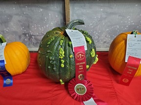 The prize winning pumpkin was from Sarah Haldenby. It also won the Judges' Choice for that category.