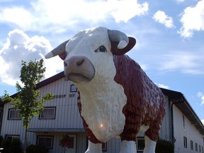 Big Bruce in Chesley, Ont. has bullied his way to the top of TVO's summer 2021 list of roadside attractions, beating out even Jumbo in St. Thomas. (Postmedia Network file photo)