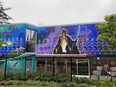 A new mural on the west wall of the St. Thomas Public Library features an Indigenous storyteller who artist Nancy Deleary, a member of the Chippewas of the Thames First Nation, suggests is sharing a way forward in a time of climate emergency.
Submitted photo