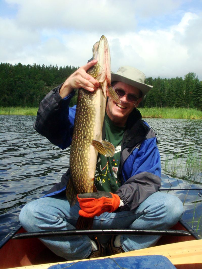 NATURAL ACQUAINTANCES: The great northern pike
