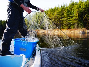 IISD-ELA has translated a pair of videos into Ojibwe for Indigenous youth in Treaty 3 to connect with their language as well as learn about some of the science being done at the freshwater laboratory.