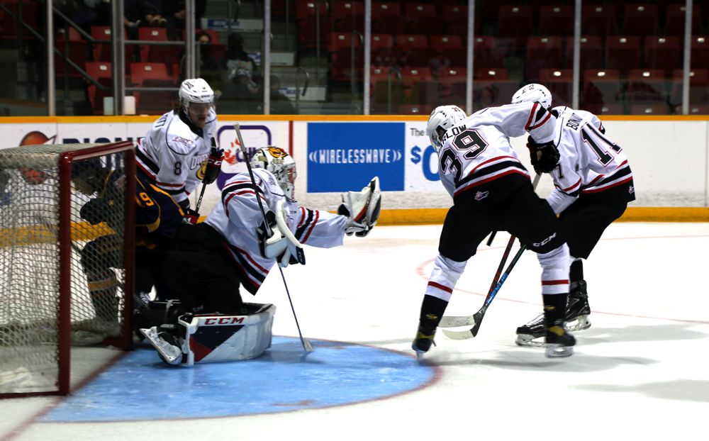 Barrie Colts a 'young team' as pre-season action kicks off