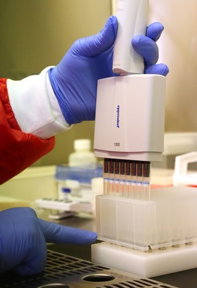 A medical laboratory technologist uses an electronic pipette while testing samples for COVID-19. There were 26 local cases as of Tuesday.