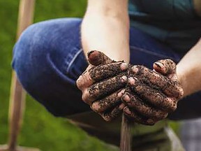 Use soil tests to take advantage of a challenging year. (Metro Creative Services)