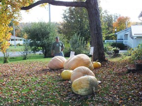Jason Behm of Massey has grown a gargantuan giant pumpkin.