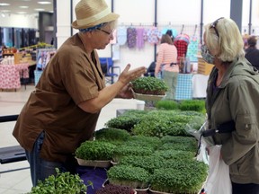 Teri Watts of Teri's Tiny Garden extolls the benefits of microgreens to Yvette Guay, Saturday, at the first indoor Farmers Market of the season at North Bay Mall. PJ Wilson/The Nugget