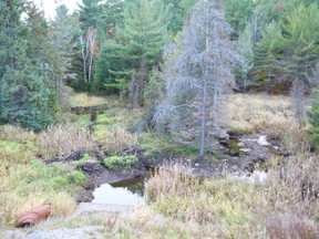 Looking west from Estaire Road (the original Highway 69) at an area drained by MTO contract workers to prevent blockage of the culvert. An Estaire resident concerned about habitat loss argues the work was unnecessary here as the road is elevated and could not be flooded. Jim Moodie/Sudbury Star