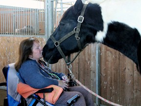 Kathy Gould recently spent 40 minutes connecting with Hercules, a 20-year-old spotted draft horse, at Spirit's Whisper Ranch south of Straffordville. (Submitted)