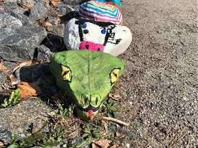 People are encouraged to add their own painted rocks to this Rock Snake as the Village of Magnetawan tries to make a Rock Snake long enough to reach its Centennial Beach, about 300 metres away along the Lions Parkway. Laura Brandt Photo