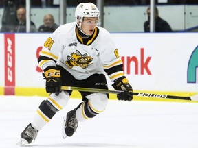 Sarnia Sting's Max Namestnikov plays against the Windsor Spitfires in the first period at Progressive Auto Sales Arena in Sarnia, Ont., on Friday, Oct. 8, 2021. Mark Malone/Chatham Daily News/Postmedia Network