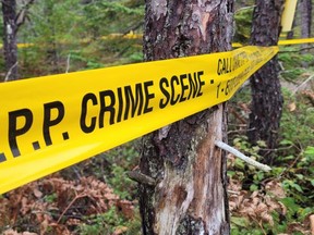 OPP crime scene tape marks off a wooded area near Scugog Lane in Northern Bruce Peninsula after police discovered a body Sunday while investigating a sudden death occurrence.