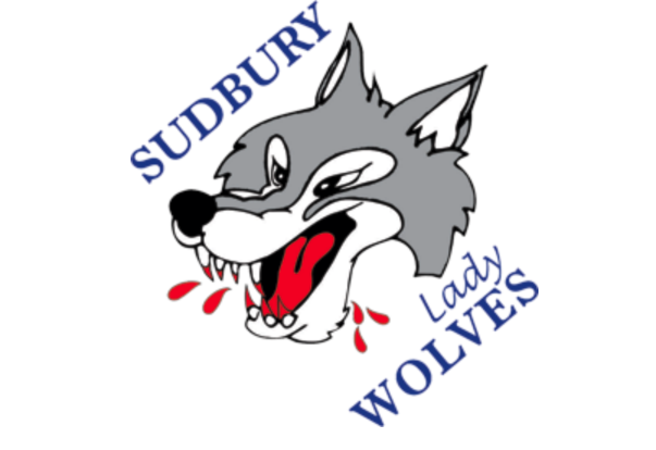 Jordan Cheechoo honoured by Jr. Wolves - Sudbury News