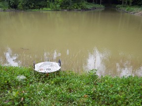 Algae blooms in Lake Erie (Postmedia file photo)