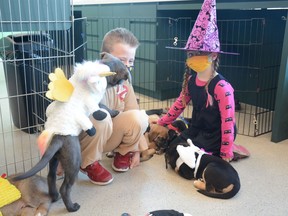 Emerson (left) and Niamh Creelman are swarmed by Pups with Soul rescues dressed in Halloween costumes for a pet trick-or-treating event at Fen Vet on October 30. The event raised funds for Fen Vet's Phin Fund, to help financially struggling pet owners afford their vet bills. Photo by Riley Cassidy/The Airdrie Echo/Postmedia Network Inc.