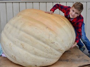 Stirling resident, and resourceful weight guesser, seven-year-old Braydon, has tried just about everything he can think of to determine the weight of the giant pumpkin, sitting outside the Pro One Stop convenience store in Stirling. The giant pumpkin is the centerpiece of the annual, fun-filled, guess-the-weight-of-the-pumpkin contest held at the Pro One Stop until Friday, October 29. ItÕs a 50/50 contest with half the proceeds going to the local Food Bank. TERRY VOLLUM PHOTO