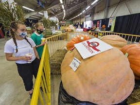 Ella Garrison (left), age 14 of Simcoe and her twelve-year-old sister Gracie look at some of the gigantic pumpkins on display at the Norfolk County Fair in Simcoe, Ontario on Saturday October 9, 2021. The champion entry, grown by Ron and Doris Wray weighed in at 1,746 pounds. Brian Thompson/Brantford Expositor/Postmedia Network
