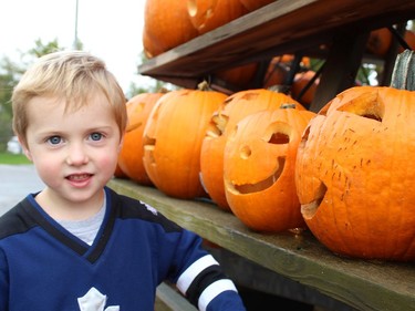 Three-year-old Austin Balsor of Waterford gets an up-close look at some of the jack-o-lanterns on display on the giant pumpkin pyramid on Saturday at Pumpkinfest.  Michelle Ruby