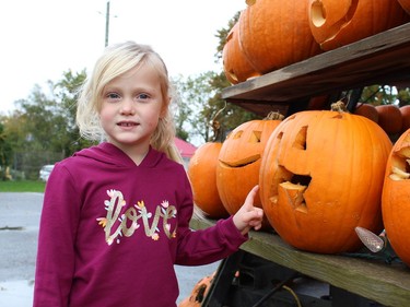 Four-year-old Chelsea Balsor of Waterford looks for her contribution to this year's giant pumpkin pyramid, which included more than 1,300 jack-o-lanterns carved by area schoolchildren. Michelle Ruby