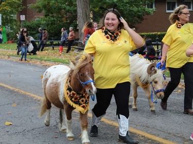 A couple of ponies joined the Pumpkinfest parade on Main Street in Waterford on Saturday.  Michelle Ruby