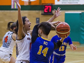 Steph Romany (left) of North Park Collegiate blocks a pass attempt by Olivia Saylon of Brantford Collegiate Institute during a senior girls basketball game on Oct. 21.