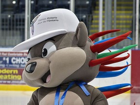Pachi, the procupine, is the Ontario Games mascot.