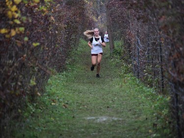 Runners on the final stretch of the junior girls race, at the 2021 SD&G Cross-country Championship, hosted by Holy Trinity and held at Gray's Creek. Photo on Wednesday, October 13, 2021, in Cornwall, Ont. Todd Hambleton/Cornwall Standard-Freeholder/Postmedia Network