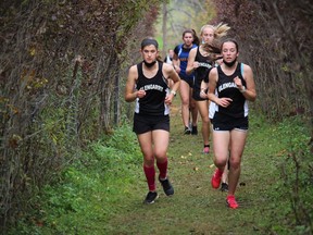 Glengarry's Zoe McIntosh (left) and Brianna Bellefeuille lead the way early in the senior girls six-kilometre event, on Wednesday morning at the 2021 SD&G Cross-country Championship, hosted by Holy Trinity and held at Gray's Creek. Photo on Wednesday, October 13, 2021, in Cornwall, Ont. Todd Hambleton/Cornwall Standard-Freeholder/Postmedia Network