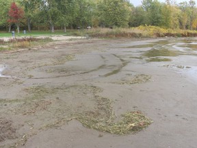 The beach is quite a bit wider this week as compared to last, at this waterfront area in the Township of South Stormont. Photo on Monday, October 18, 2021, in Long Sault, Ont. Todd Hambleton/Cornwall Standard-Freeholder/Postmedia Network