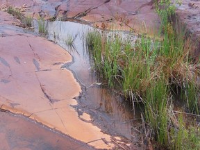 Photo supplied by LIANNE LEDDY
Orange-stained rocks near the site of the acid plant in SRFN, circa 2009.