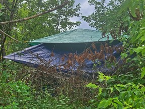 Recent concerns from Spruce Grove residents related to encampments of unsheltered individuals within the community's forested areas have elicited a response from Mayor Jeff Acker. File photo.