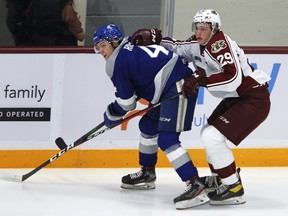 Peterborough Petes' Sam Alfano slows down Sudbury Wolves' Nathan Ribau during first period OHL action during the Petes home opener at the Memorial Centre on Thursday Oct. 14, 2021 in Peterborough, Ont.