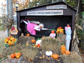 Bruce Gillies put his engineering background to good use for this animated fairy display, which earned he and his wife Brenda first place in the most unique harvest display category of the Petawawa Ramble Residential Harvest Display Contest. Check out the display this weekend at 781 Murphy Rd.