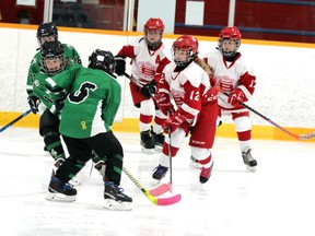 The opening weekend of the Pembroke Regional Silver Stick, Nov. 12-14, will feature the U11 Pembroke Kings and Petawawa Patriots, who recently played in regular season action at the Pembroke and Area Community Centre.