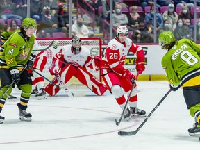 HOUND POWER: Soo Greyhounds rookie Marco Mignosa (26) had an outstanding outing in a recent Ontario Hockey League match against the North Bay Battalion with a two-goal performance. BOB DAVIES/FOR SAULT THIS WEEK