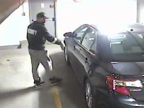 Sarnia police are searching for a suspect they say may be posing as a security guard while stealing catalytic converters from vehicles in city apartment building parking lots. (Sarnia police)