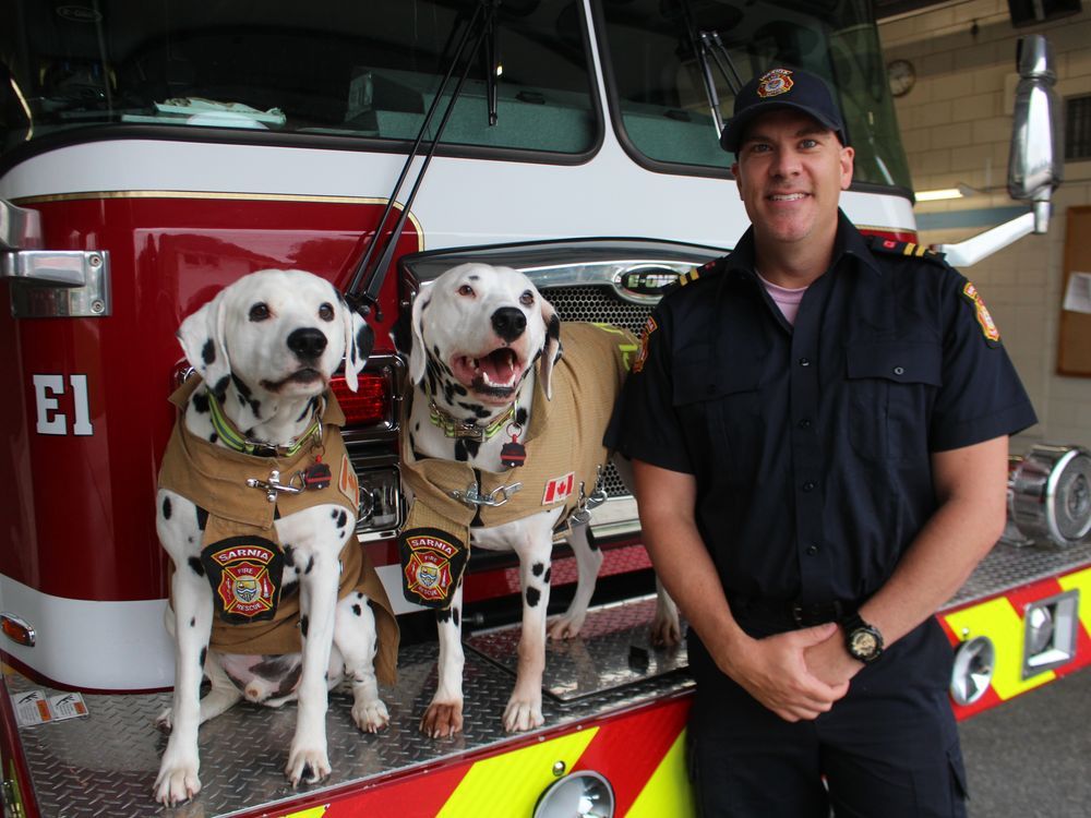 Sarnia Fire Rescue urges residents to learn the 'Sounds of Fire Safety ...