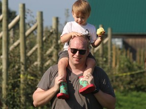 Watson Alexander, 2, of London catches a ride on the shoulders of his father, Russ Alexander, during a visit Monday to Twin Pines Orchards and Cider House near Thedford.