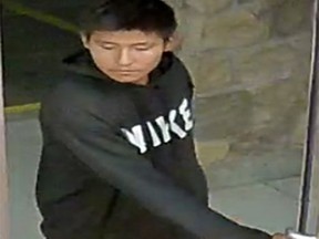 Parkland RCMP are asking for the public's help in a theft investigation in Stony Plain.