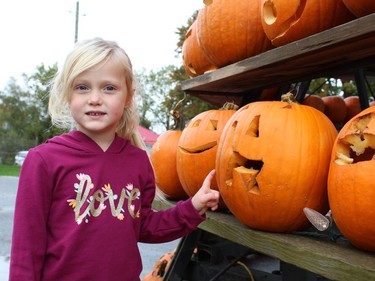 Four-year-old Chelsea Balsor of Waterford looks for her contribution on Saturday, Oct. 16 to this year's giant pumpkin pyramid, which included more than 1,300 jack-o-lanterns carved by area schoolchildren for this year's Waterford Pumpkinfest celebration. MICHELLE RUBY/POSTMEDIA NEWS