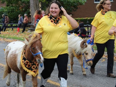 Some ponies and their handlers joined the Pumpkinfest parade on Main Street in Waterford on Saturday, October 16, 2021. MICHELLE RUBY/POSTMEDIA NEWS