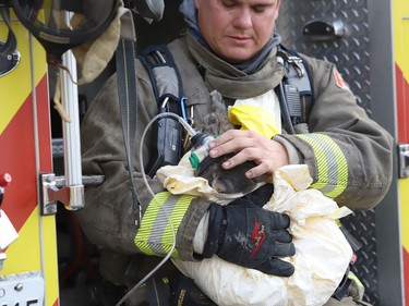 Firefighter Trevor Almenar gives a cat oxygen at a fire at a three-unit apartment on Frood Road and Bloor Street in Sudbury, Ont. on Monday October 4, 2021. John Lappa/Sudbury Star/Postmedia Network