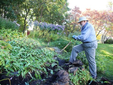 Wayne Hugli, president of the Sudbury Horticultural Society, tends to a section of the garden at the John Street Park on Wednesday. The garden area of the park is maintained by the horticultural group. Hugli said the society is always looking for volunteers. For inquiries, email webmaster@sudburyhorticulturalsociety.ca, or visit their Facebook group.