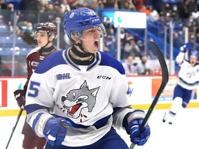 Ethan Larmand, of the Sudbury Wolves, celebrates his goal during OHL action against the Peterborough Petes at the Sudbury Community Arena in Sudbury, Ont. on Friday October 8, 2021. John Lappa/Sudbury Star/Postmedia Network