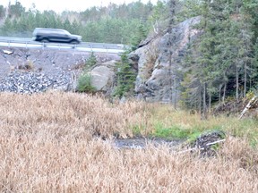 A wetland located between Estaire Road and Highway 69 (pictured in the background) isn't as wet as it used to be, after highway maintenance workers removed a beaver dam. Jim Moodie/Sudbury Star