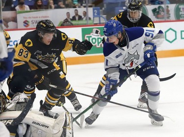 Evan Konyen, right, of the Sudbury Wolves, digs for the puck during OHL action against the Hamilton Bulldogs at the Sudbury Community Arena in Sudbury, Ont. on Friday October 22, 2021. John Lappa/Sudbury Star/Postmedia Network
