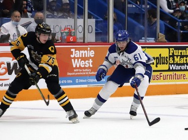 Chase Stillman, right, of the Sudbury Wolves, attempts to deflect a pass by Jorian Donovan, of the Hamilton Bulldogs, during OHL action at the Sudbury Community Arena in Sudbury, Ont. on Friday October 22, 2021. John Lappa/Sudbury Star/Postmedia Network