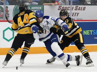 Chase Stillman, middle, of the Sudbury Wolves, attempts to skate between Nathan Staios, left, and Jonathan Melee, of the Hamilton Bulldogs, during OHL action at the Sudbury Community Arena in Sudbury, Ont. on Friday October 22, 2021. John Lappa/Sudbury Star/Postmedia Network