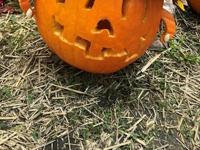 The pumpkin of Archer and Raevyn Mitchell won first place in the six to nine-year-old category during Petrolia's second annual pumpkin carving contest and pumpkin walk on Oct. 9 in Victoria Park. Handout/Sarnia This Week