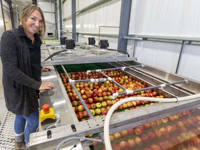 Christine Vermeer of Vermeer Apples shows off their new automated line that washes the fruit before sorting up to 16 different varieties of apples that they grow at the farm south of Aylmer. Mike Hensen/Postmedia Network