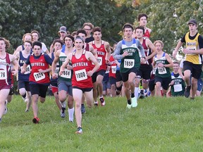 Ryan Davies (1800) of Northern takes an early lead in the senior boys' 4,600-metre race at the LKSSAA cross-country championship meet Thursday at the Crothers Conservation Area in Wallaceburg. Davies won in 14:01. Mark Malone